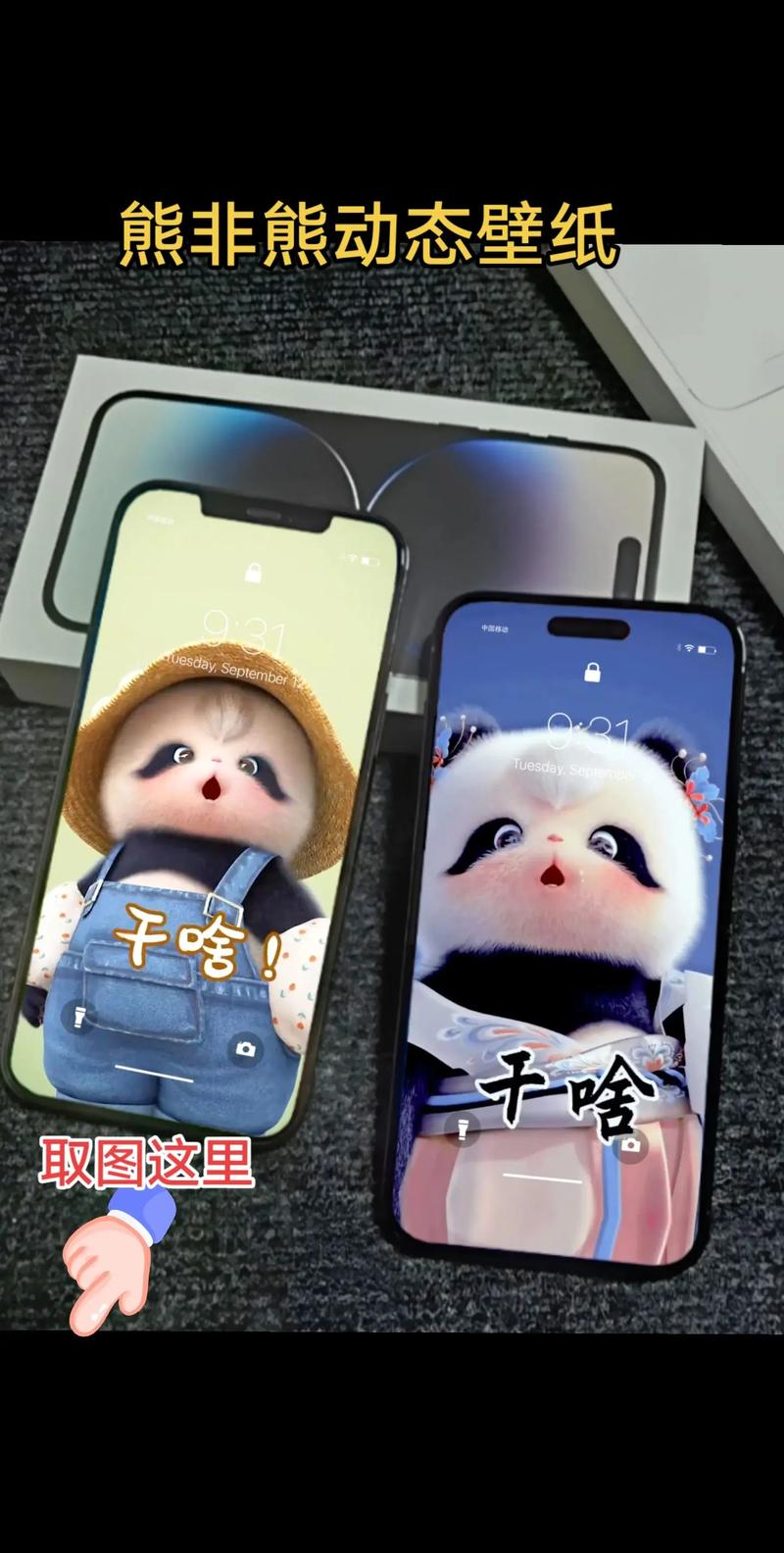 大田县非熊网店:电商热潮下的新兴力量